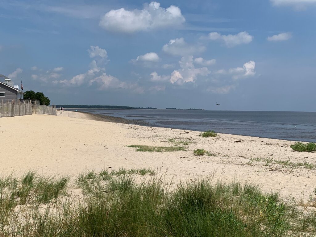 St. Jones Reserve - Delaware Bayshore Byway