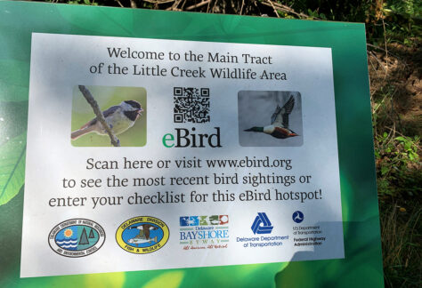 Little Creek Ebird sign