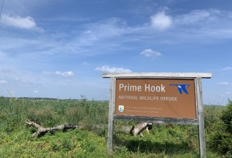 Prime Hook Sign